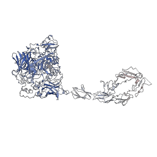34738_8hgg_C_v1-0
Structure of 2:2 PAPP-A.ProMBP complex
