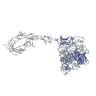 34738_8hgg_D_v1-0
Structure of 2:2 PAPP-A.ProMBP complex