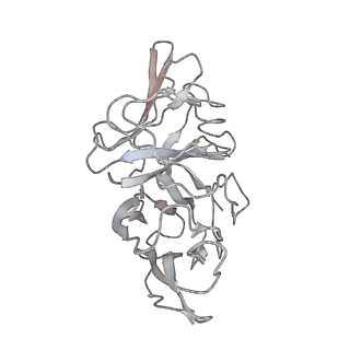 34740_8hgj_A_v1-0
Toxascaris leonina galectin (Tl-gal) and Human T-cell immunoglobulin mucin-3 (Tim3) complex