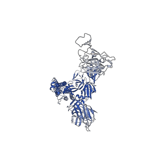34741_8hgl_A_v1-0
SARS-CoV-2 spike in complex with neutralizing antibody NIV-11