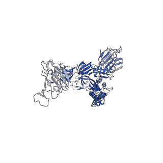 34741_8hgl_B_v1-0
SARS-CoV-2 spike in complex with neutralizing antibody NIV-11
