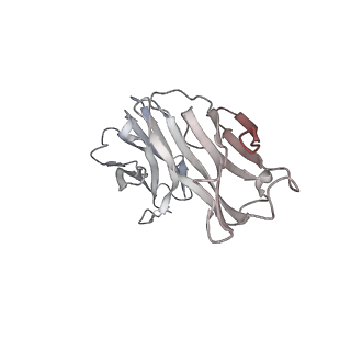 34741_8hgl_C_v1-0
SARS-CoV-2 spike in complex with neutralizing antibody NIV-11