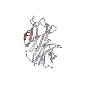 34741_8hgl_F_v1-0
SARS-CoV-2 spike in complex with neutralizing antibody NIV-11