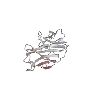 34741_8hgl_H_v1-0
SARS-CoV-2 spike in complex with neutralizing antibody NIV-11