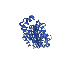34748_8hh1_A_v1-0
FoF1-ATPase from Bacillus PS3, 81 degrees, highATP