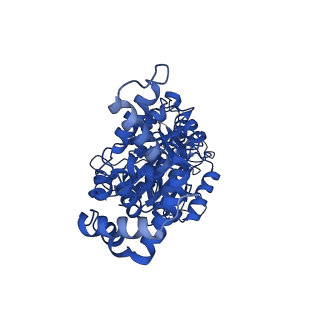 34748_8hh1_C_v1-0
FoF1-ATPase from Bacillus PS3, 81 degrees, highATP