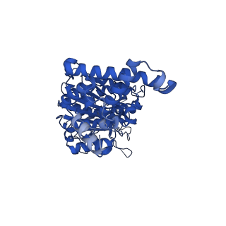 34748_8hh1_D_v1-0
FoF1-ATPase from Bacillus PS3, 81 degrees, highATP