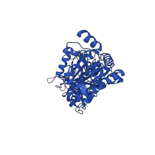 34748_8hh1_E_v1-0
FoF1-ATPase from Bacillus PS3, 81 degrees, highATP