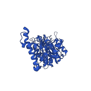 34748_8hh1_F_v1-0
FoF1-ATPase from Bacillus PS3, 81 degrees, highATP