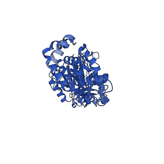 34749_8hh2_A_v1-0
F1 domain of FoF1-ATPase from Bacillus PS3,post-hyd,highATP