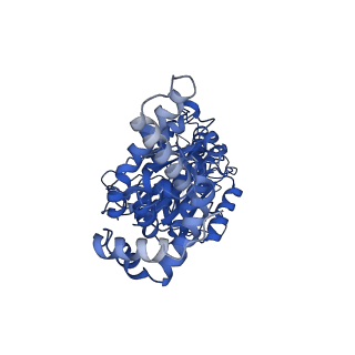 34749_8hh2_C_v1-0
F1 domain of FoF1-ATPase from Bacillus PS3,post-hyd,highATP