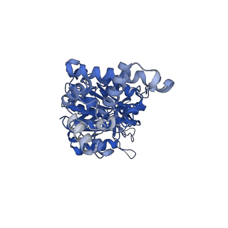 34749_8hh2_D_v1-0
F1 domain of FoF1-ATPase from Bacillus PS3,post-hyd,highATP