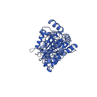 34749_8hh2_E_v1-0
F1 domain of FoF1-ATPase from Bacillus PS3,post-hyd,highATP