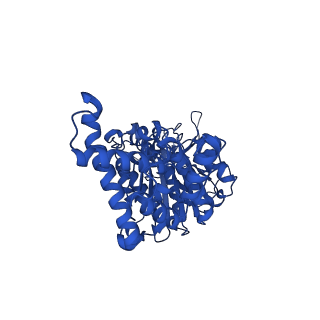 34749_8hh2_F_v1-0
F1 domain of FoF1-ATPase from Bacillus PS3,post-hyd,highATP