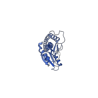 34749_8hh2_G_v1-0
F1 domain of FoF1-ATPase from Bacillus PS3,post-hyd,highATP