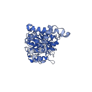 34750_8hh3_D_v1-0
F1 domain of FoF1-ATPase from Bacillus PS3,90 degrees,highATP