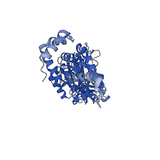 34751_8hh4_A_v1-0
F1 domain of FoF1-ATPase from Bacillus PS3,101 degrees, highATP