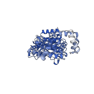 34751_8hh4_B_v1-0
F1 domain of FoF1-ATPase from Bacillus PS3,101 degrees, highATP