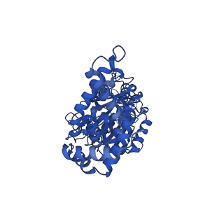 34751_8hh4_C_v1-0
F1 domain of FoF1-ATPase from Bacillus PS3,101 degrees, highATP