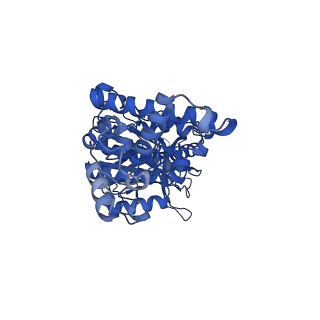 34751_8hh4_D_v1-0
F1 domain of FoF1-ATPase from Bacillus PS3,101 degrees, highATP