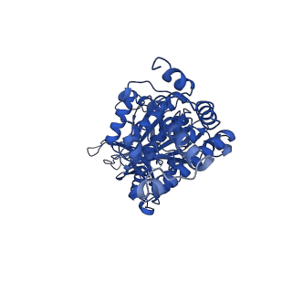 34751_8hh4_E_v1-0
F1 domain of FoF1-ATPase from Bacillus PS3,101 degrees, highATP