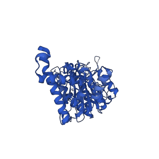 34751_8hh4_F_v1-0
F1 domain of FoF1-ATPase from Bacillus PS3,101 degrees, highATP