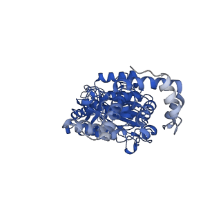 34752_8hh5_B_v1-0
F1 domain of FoF1-ATPase from Bacillus PS3,120 degrees,highATP