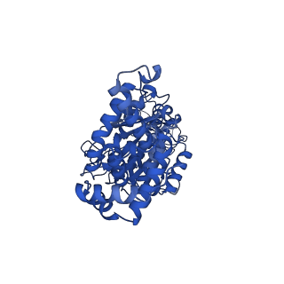 34752_8hh5_C_v1-0
F1 domain of FoF1-ATPase from Bacillus PS3,120 degrees,highATP