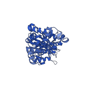 34752_8hh5_D_v1-0
F1 domain of FoF1-ATPase from Bacillus PS3,120 degrees,highATP