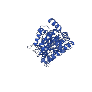 34752_8hh5_E_v1-0
F1 domain of FoF1-ATPase from Bacillus PS3,120 degrees,highATP