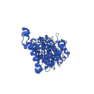 34752_8hh5_F_v1-0
F1 domain of FoF1-ATPase from Bacillus PS3,120 degrees,highATP