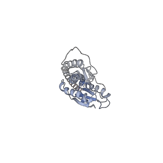 34752_8hh5_G_v1-0
F1 domain of FoF1-ATPase from Bacillus PS3,120 degrees,highATP