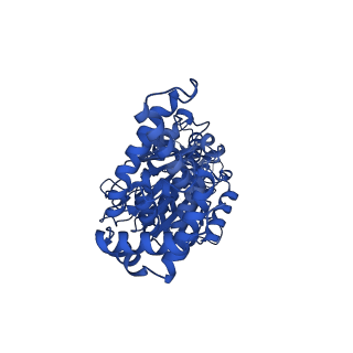 34753_8hh6_C_v1-0
F1 domain of FoF1-ATPase from Bacillus PS3,step waiting,highATP