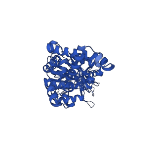 34753_8hh6_D_v1-0
F1 domain of FoF1-ATPase from Bacillus PS3,step waiting,highATP
