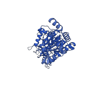 34753_8hh6_E_v1-0
F1 domain of FoF1-ATPase from Bacillus PS3,step waiting,highATP