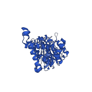 34753_8hh6_F_v1-0
F1 domain of FoF1-ATPase from Bacillus PS3,step waiting,highATP
