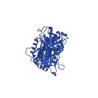 34754_8hh7_A_v1-0
F1 domain of FoF1-ATPase from Bacillus PS3, 81 degrees, lowATP