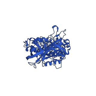 34754_8hh7_B_v1-0
F1 domain of FoF1-ATPase from Bacillus PS3, 81 degrees, lowATP