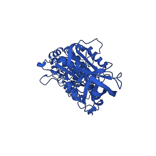 34754_8hh7_C_v1-0
F1 domain of FoF1-ATPase from Bacillus PS3, 81 degrees, lowATP
