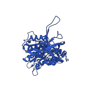 34754_8hh7_D_v1-0
F1 domain of FoF1-ATPase from Bacillus PS3, 81 degrees, lowATP