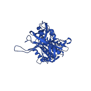 34754_8hh7_E_v1-0
F1 domain of FoF1-ATPase from Bacillus PS3, 81 degrees, lowATP