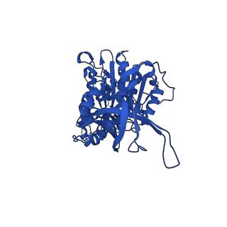 34754_8hh7_F_v1-0
F1 domain of FoF1-ATPase from Bacillus PS3, 81 degrees, lowATP