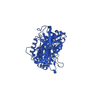 34755_8hh8_A_v1-0
F1 domain of FoF1-ATPase from Bacillus PS3,post-hyd,lowATP