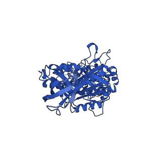 34755_8hh8_B_v1-0
F1 domain of FoF1-ATPase from Bacillus PS3,post-hyd,lowATP