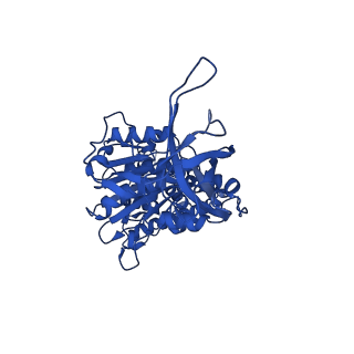 34755_8hh8_D_v1-0
F1 domain of FoF1-ATPase from Bacillus PS3,post-hyd,lowATP