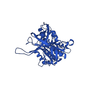 34755_8hh8_E_v1-0
F1 domain of FoF1-ATPase from Bacillus PS3,post-hyd,lowATP