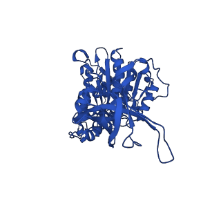 34755_8hh8_F_v1-0
F1 domain of FoF1-ATPase from Bacillus PS3,post-hyd,lowATP