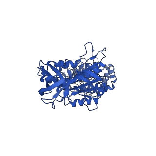 34756_8hh9_B_v1-0
F1 domain of FoF1-ATPase from Bacillus PS3, 90 degrees, low ATP