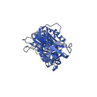 34756_8hh9_C_v1-0
F1 domain of FoF1-ATPase from Bacillus PS3, 90 degrees, low ATP
