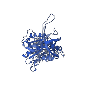 34756_8hh9_D_v1-0
F1 domain of FoF1-ATPase from Bacillus PS3, 90 degrees, low ATP